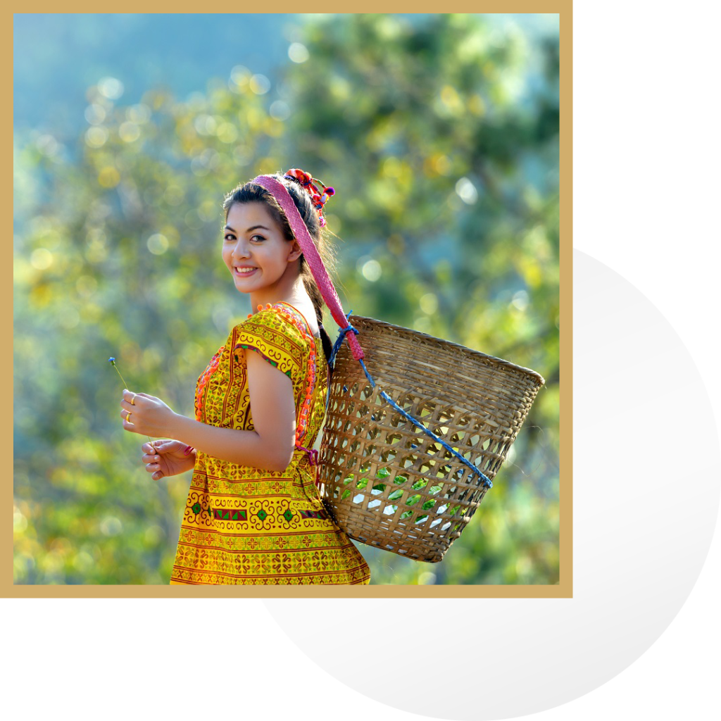 Dadarwal Tea About Dadarwal Tea - Jaipur | Premium Tea | Green Tea | Black Tea